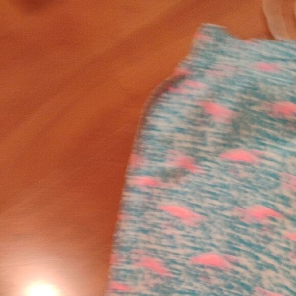 Chubbies Blue and Pink Athletic Shorts - Picture 6 of 7